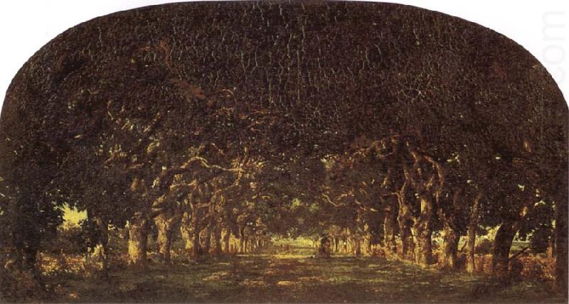 Theodore Rousseau The Chestnut Avenue china oil painting image